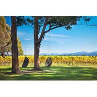 Marlborough Wine Tour and Cruise from Picton or Blenheim