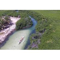 Mangrove Kayak Ecotour from Grand Case