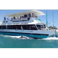 Mandurah Dolphin and Scenic Canal Cruise