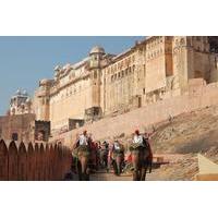 Majestic Jaipur Day Tour