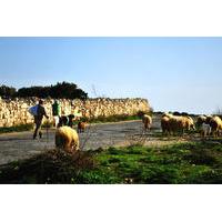 Maltese Nature and Agriculture Day Trip with Countryside Walk and Farm Visit