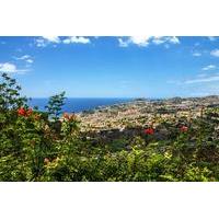 Madeira Shore Excursion: Funchal\'s Favourites Small Group Tour