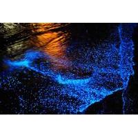 Manialtepec Lagoon Bioluminescen...