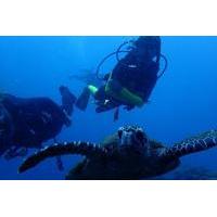 Magnetic Island 3-Day Beginners PADI Open Water Course