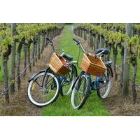 mattituck new york guided farm and vineyard bike tour