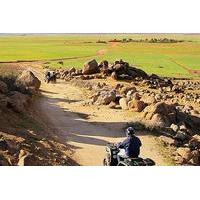 Marrakech Desert and Palm Grove Quad Bike Tour