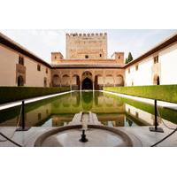 malaga shore excursion private granada day trip including alhambra and ...