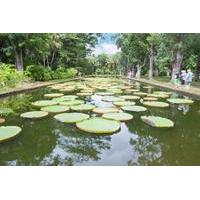 Mauritius Private North Day Tour: Botanical Garden - Sugar Museum - Rum Tasting - Port Louis