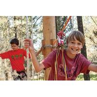 maple ridge monkido kids aerial adventure