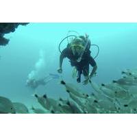 marietas islands national park certified diving trip