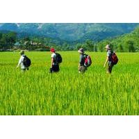 Mai Chau to Pu Luong 3-Day Tour from Hanoi