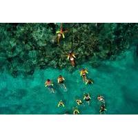 marinarium snorkeling half day cruise