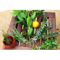 Mallorcan Hierbas Liquor Making Class