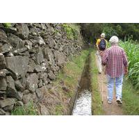 Maroços Mimosa Valley - Levada Walk