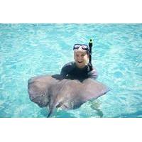 Marinarium Snorkel Cruise from L...