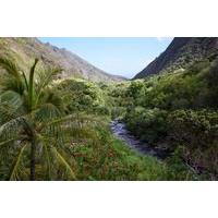 Maui Day Trip: Haleakala, Iao Valley, Old Lahaina from Oahu