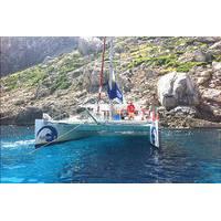 Mallorca Catamaran Cruise and Snorkeling Trip