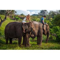 Mahout for a Day Experience at Bali Zoo Including Lunch and Balinese Massage