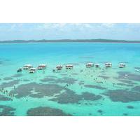 Maragogi Beach Tour from Recife