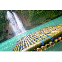 Mantayupan and Kawasan Falls Day Tour from Cebu