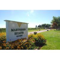 Marynissen Estate Winery Tour and Tastings