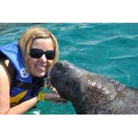 Manatee Encounter in Cozumel at Chankanaab Beach Adventure Park