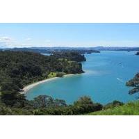 Matakana and Country Tour from Auckland
