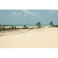 Mangue Seco from Salvador