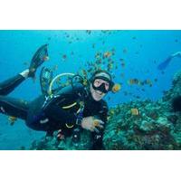 Maui Scuba Diving Introductory Lesson