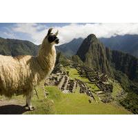 Machu Picchu Private Guided Tour from Aguas Calientes