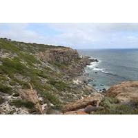 margaret river scenic nature food and wine tour including gourmet lunc ...