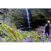 Madeira Levada Walk - Caldeirao Verde