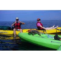 manuel antonio ocean kayaking