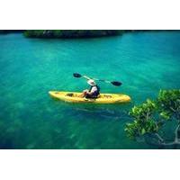 Mangrove Lagoon Kayak Rental in St Thomas
