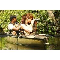 Mangrove Forest Kayak Eco-Tour in Florida Everglades