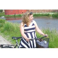 Malmo Guided Bike Tour