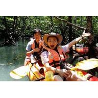Mangrove Forest Kayaking Tour from Langkawi