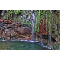 Madeira Levada Walk - Rabacal Lakes and Fountains