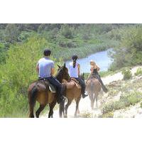 mallorca evening tour horseback riding dinner and dance