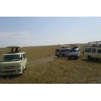 Maasai Mara, Serengeti Ngorongoro, Manyara and Fly to Zanzibar Beach From Nairobi