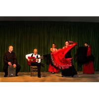Madrid Flamenco Show with Evening Sightseeing Tour and Optional Dinner