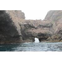 marine life boat tour to the coronado islands