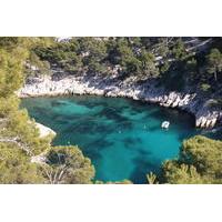 Marseille Shore Excursion: Private Tour in Aix en Provence and Cassis Creeks