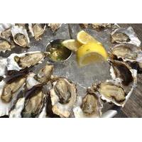 Marin County Oyster Farm Tour and Tasting