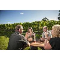 Martinborough Wine-Tasting Tour from Wellington