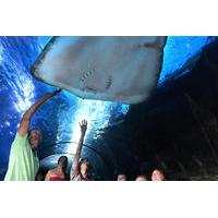 Maui Ocean Center Admission Packages