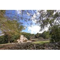 Mayan Eco Adventure: Sian Ka\'an Biosphere Tour