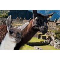 Machu Picchu Private Full Day Tour