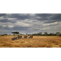masai tanzania camping safari