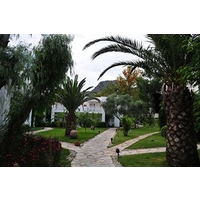 Mavi Suite TÃ¼rkbÃ¼kÃ¼